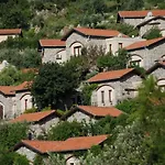 Dionysos Turunc