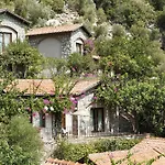 Dionysos 3*