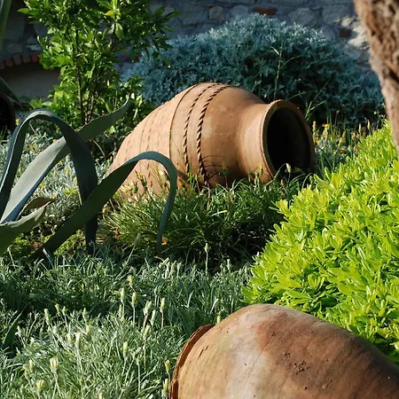 Dionysos Village Marmaris Hotel Turunç